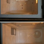 10 Minute Microwave Cleaner